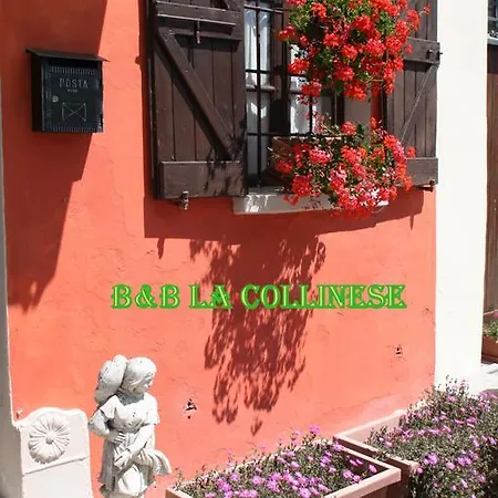 La Collinese Castana (Lombardy)